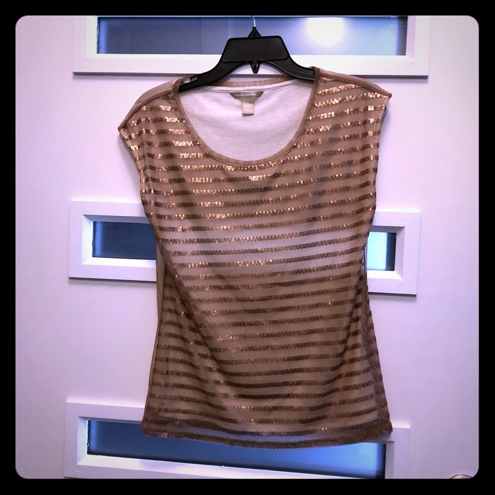 Banana Republic rose gold sequin striped top